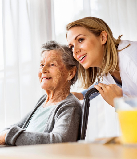 Hands holding a small plant, symbolizing care and growth